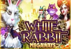 White Rabbit